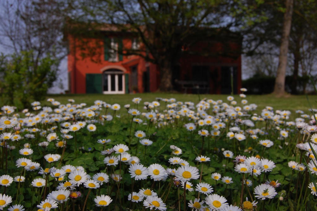 B&B L'Alberone 부드리오 외부 사진